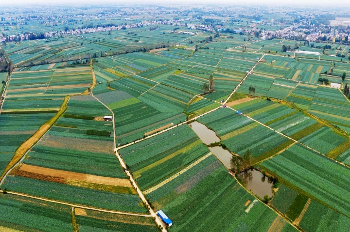 “农”墨重彩绘“丰”景——天门市上半年农业农村工作综述