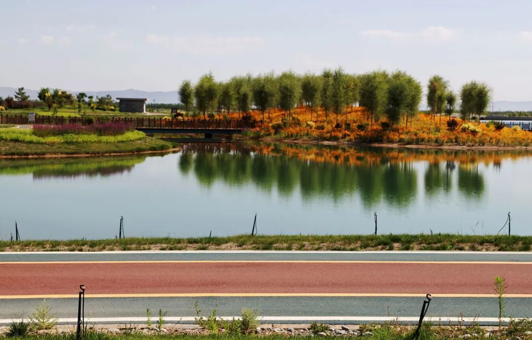 国储林基地(奥林匹克森林公园)