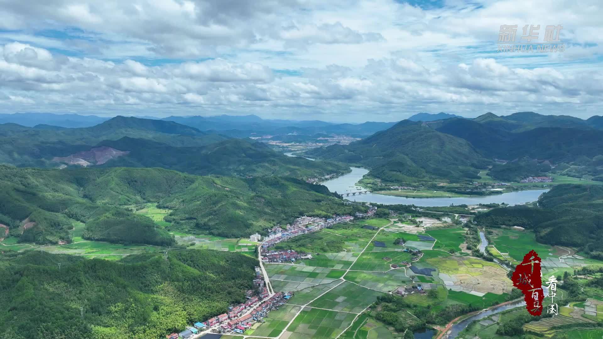 千城百县看中国｜福建邵武：阳光玫瑰 喜获丰收