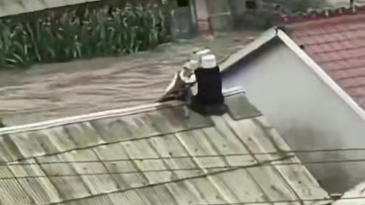 网传吉林舒兰一村庄被淹，村民在屋顶等待救援