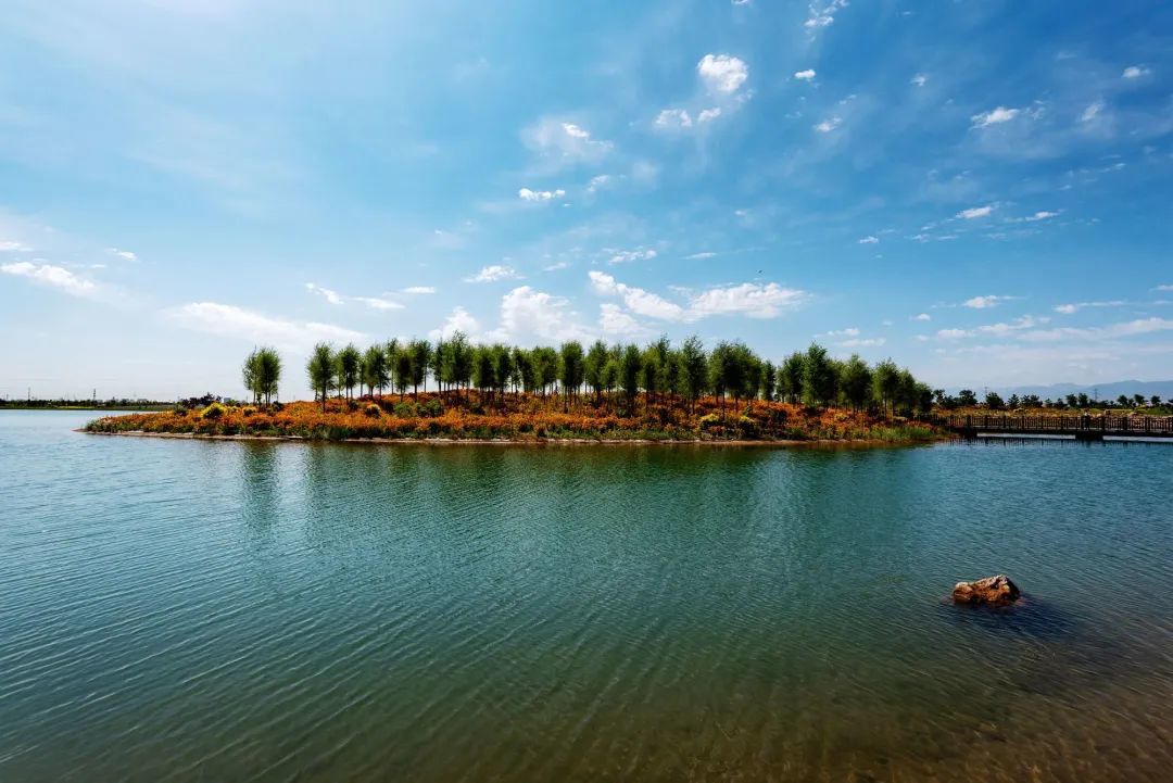 国储林基地(奥林匹克森林公园)