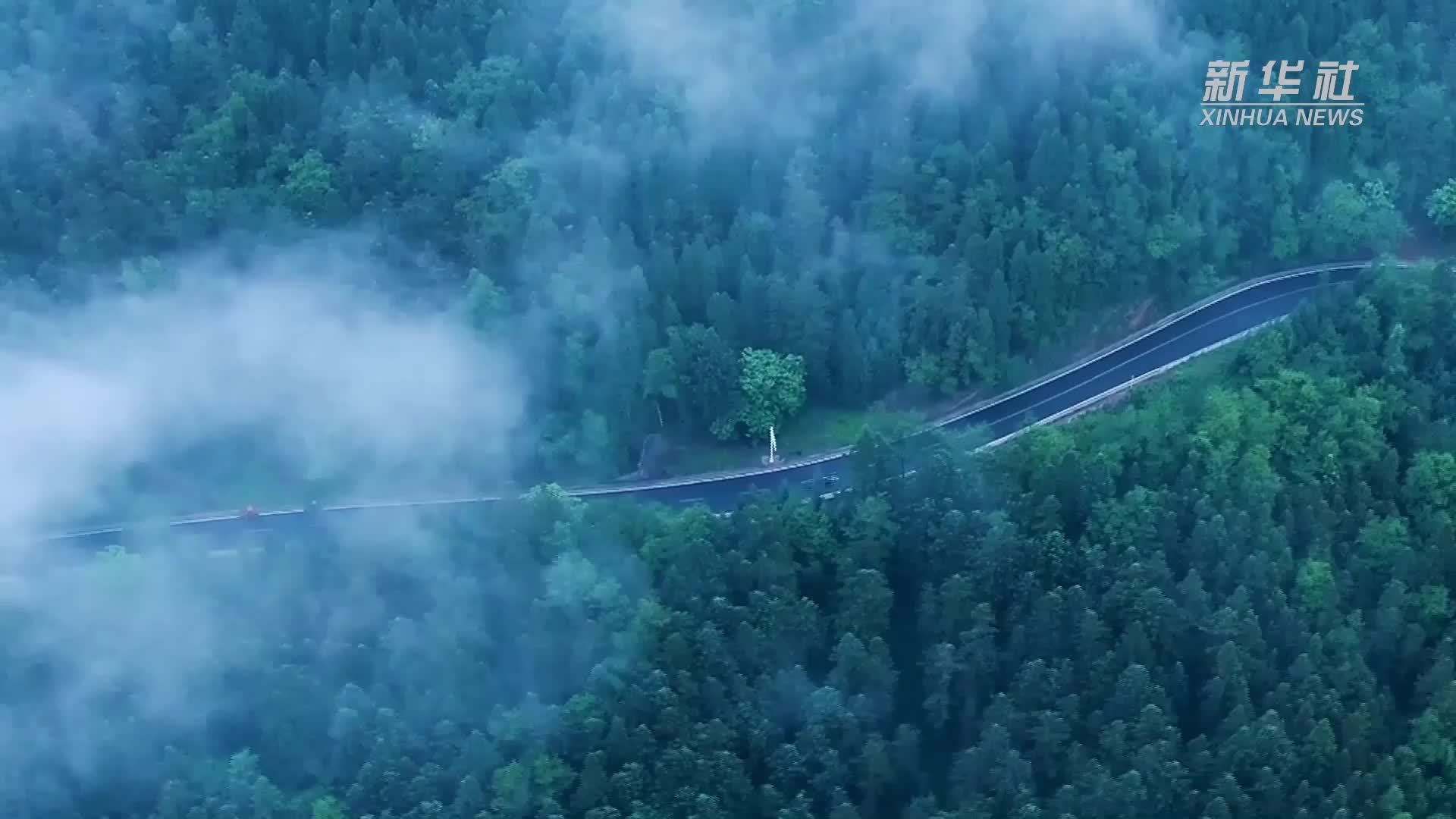 贵州毕节：守护绿水青山 发展绿色经济