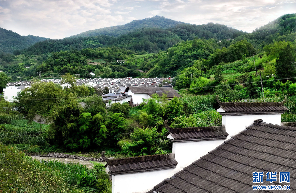 7月28日拍摄的大贵镇徽派民居。新华网发（张岚 摄）