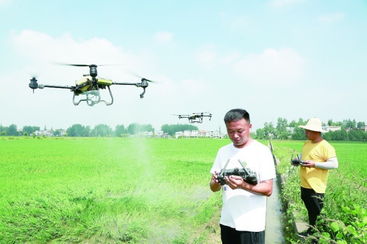 “农”墨重彩绘“丰”景——天门市上半年农业农村工作综述