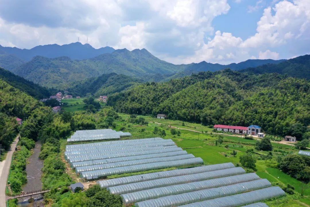 泰和县：夏日秀美山乡 美不胜收（图）