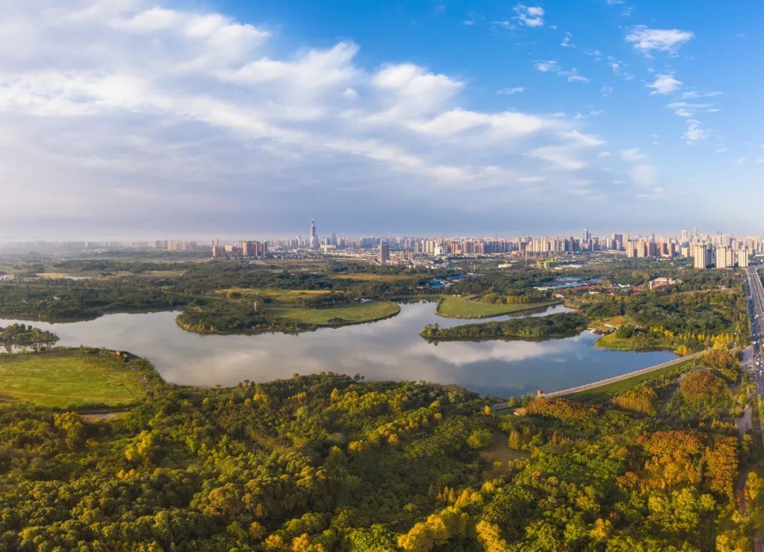 △青龍湖濕地公園，是成都最大的生態(tài)湖泊。/圖蟲(chóng)創(chuàng)意