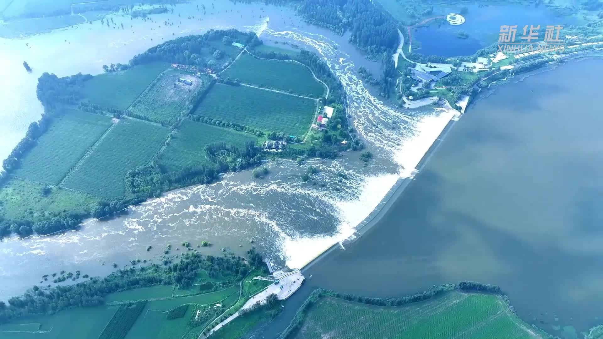 气势磅礴！山东东平戴村坝呈现“龙吟鱼跃”壮丽景观