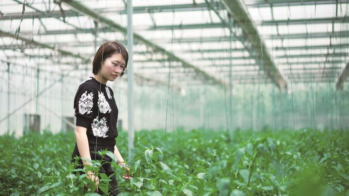 刘洋在蔬菜基地内查看蔬菜长势。 受访者供图