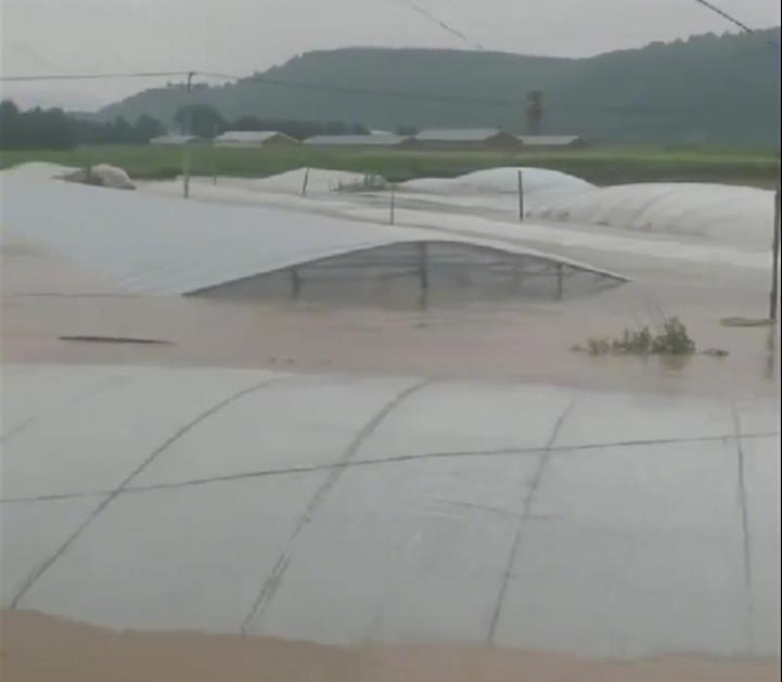 凤凰早报|山东平原县深夜发生5.5级地震;吉林舒兰强降雨已致6人遇难