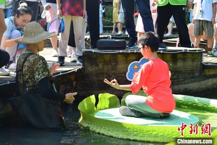 图为小朋友坐王莲。 马芙蓉 摄