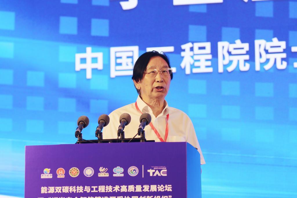 李立浧院士作报告