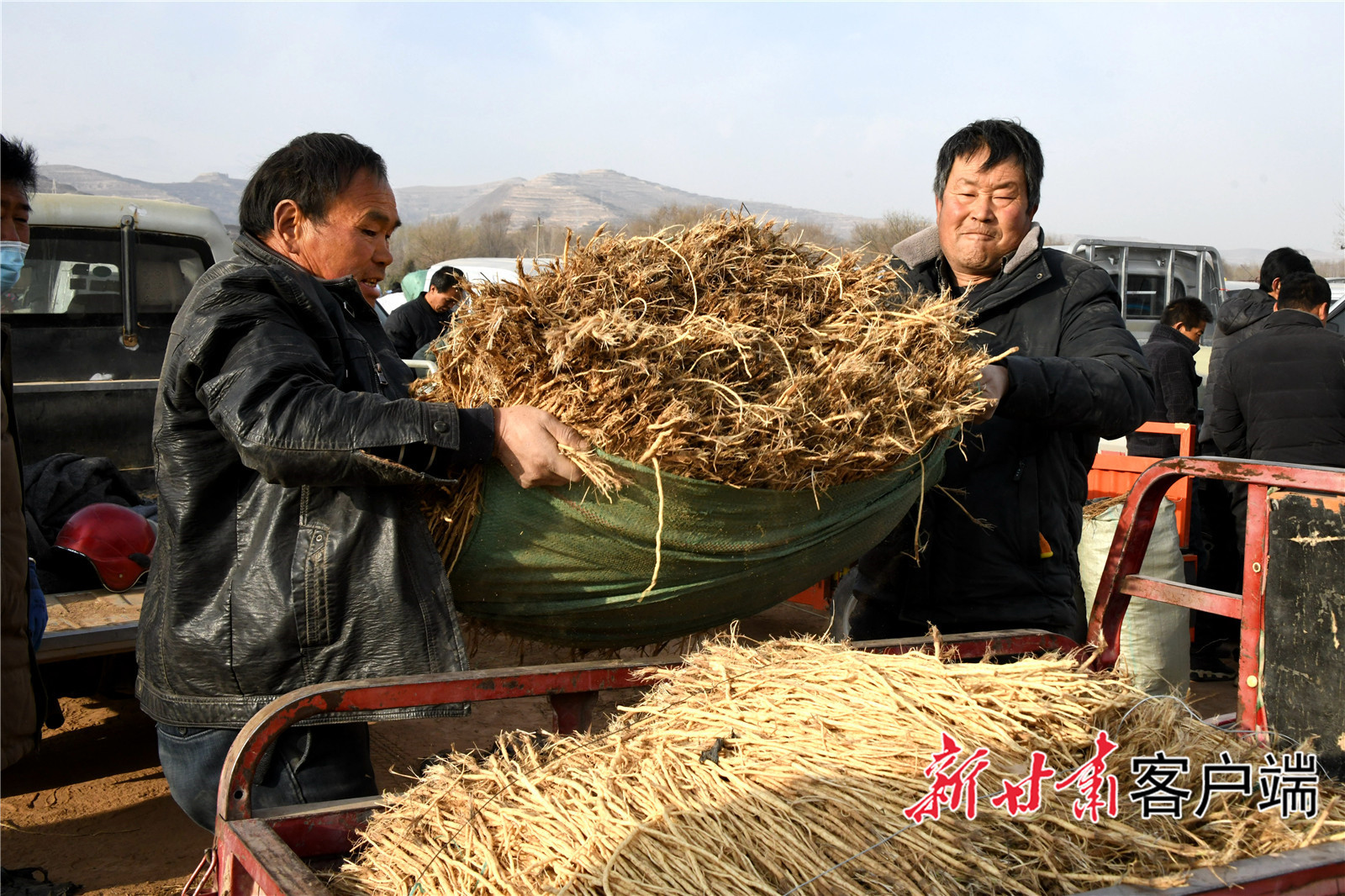 陇西县首阳镇首阳镇中药材种苗交易市场 (5).jpg