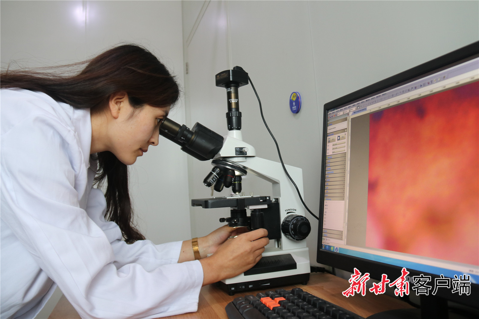 在渭源，龙头企业带动合作社进行标准化生产，对药材进行质量检测。新甘肃&middot;甘肃日报通讯员 李珑 摄