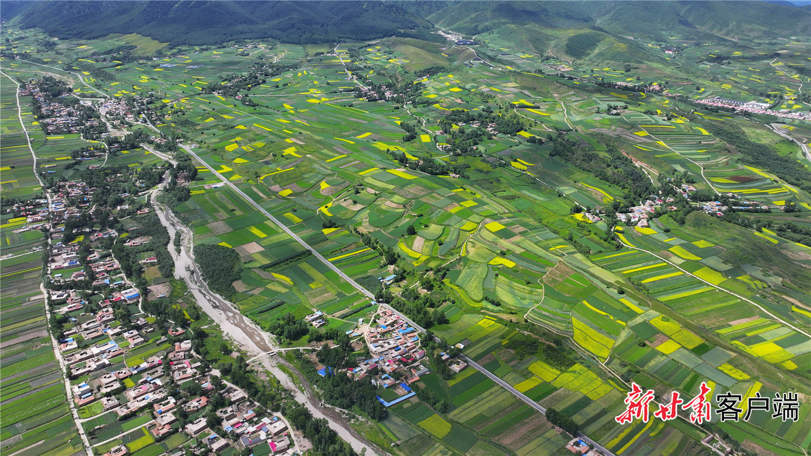 渭源县会川镇中药材种植基地绿意盎然 新甘肃&middot;甘肃日报通讯员 李珑