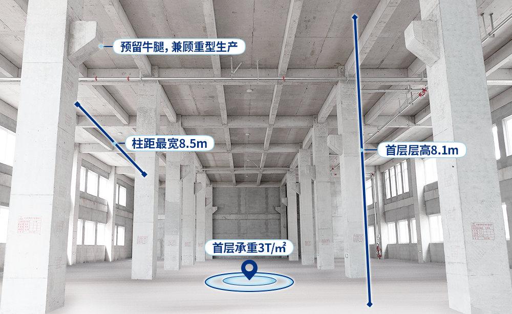 点击查看原始图片