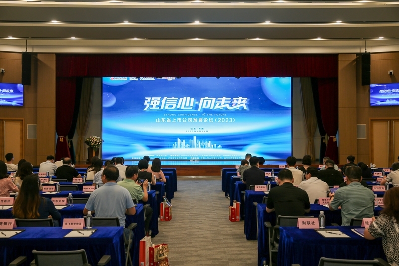 山东财经大学会计学院院长助理韩跃：上市民企应抓住“31条”机遇发展壮大