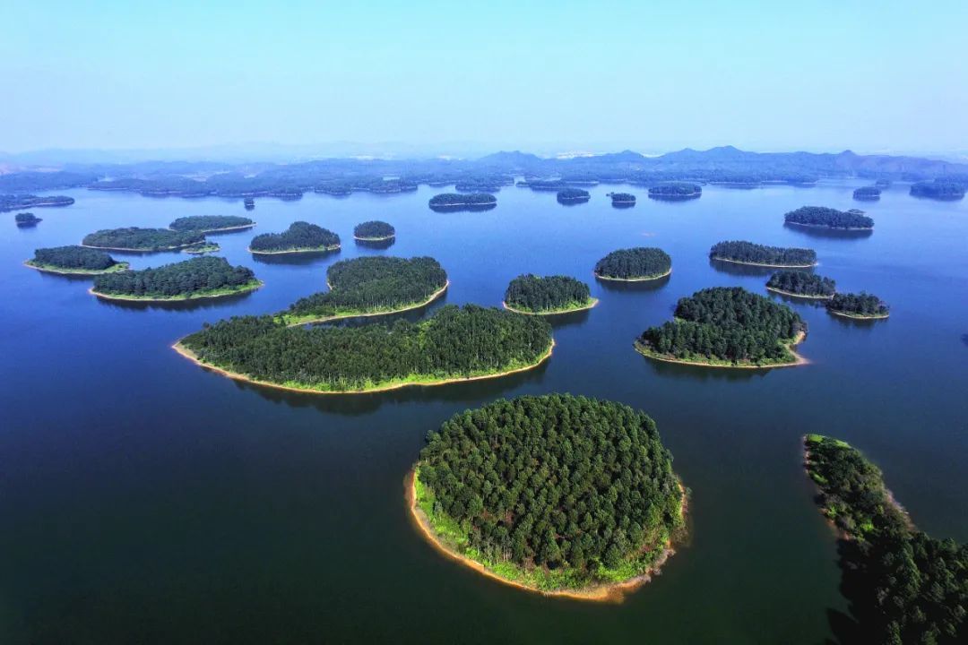 开平孔雀湖国家湿地公园 江门市生态环境局开平分局供图