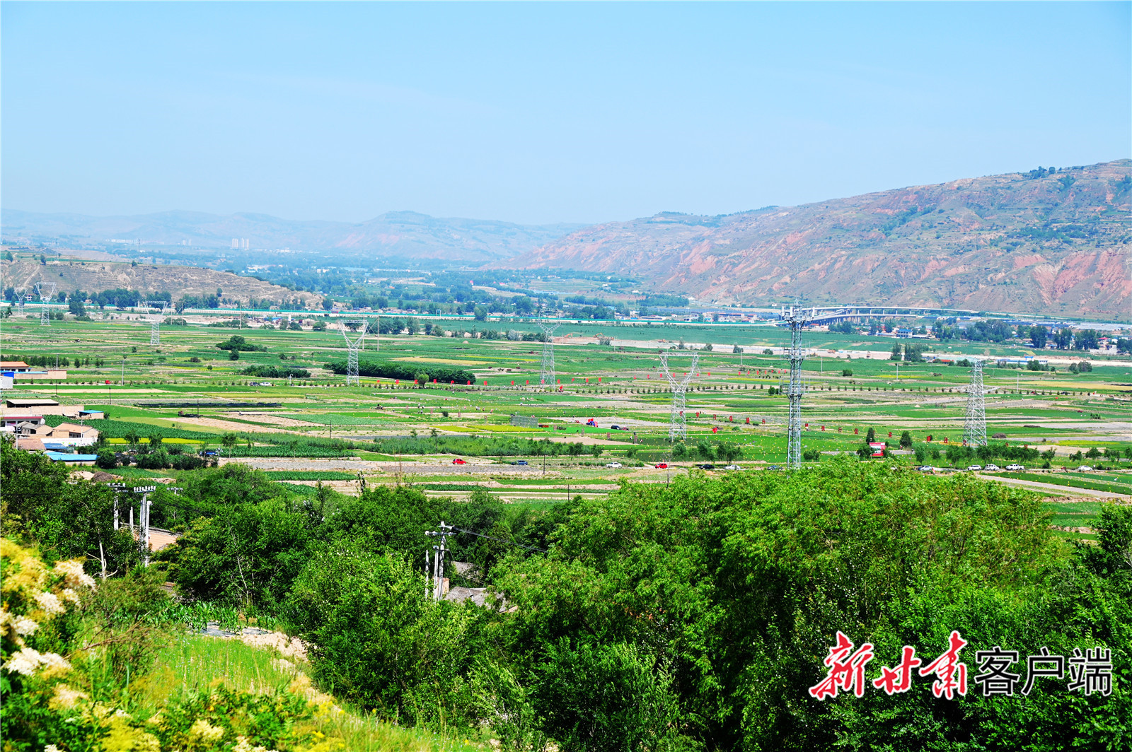 陇西县首阳镇万亩中药材标准化种植基地