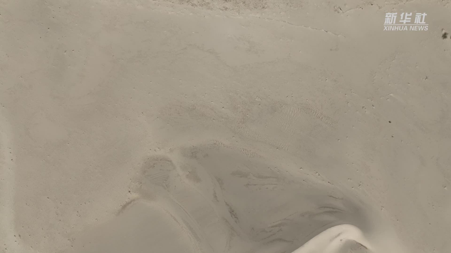 “沙漠土壤化”助力万亩沙海变良田