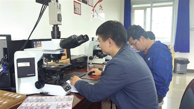 大成盛泰为甘南州医院搭建系统（受访单位供图）
