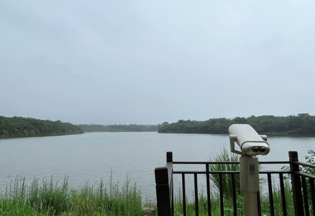 △青龍湖濕地公園既是觀賞性公園，也主導(dǎo)著整個(gè)十陵區(qū)的生態(tài)基調(diào)。/阿禎 攝