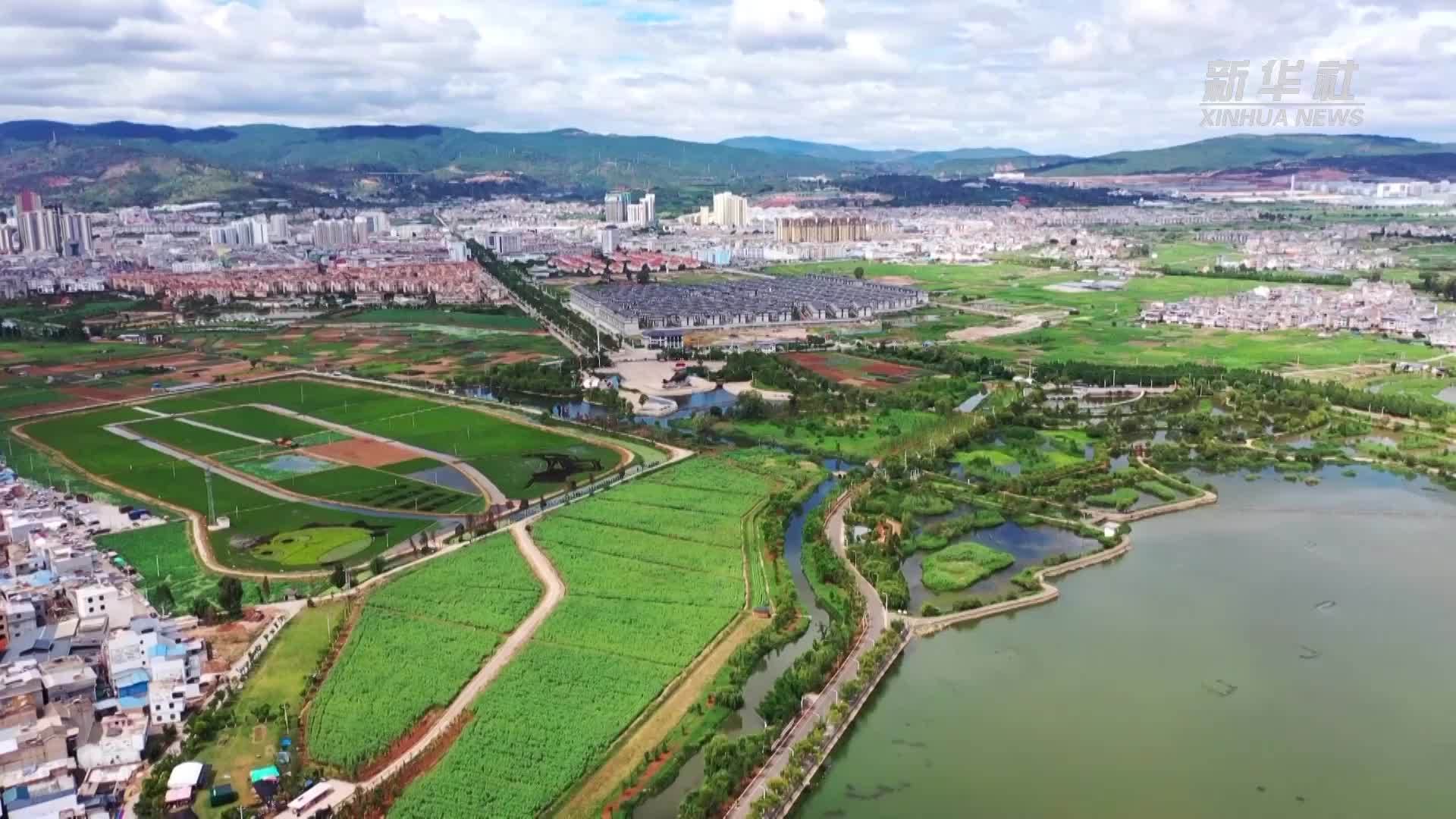 千城胜景｜玉溪江川：风吹彩稻 趣赏景致