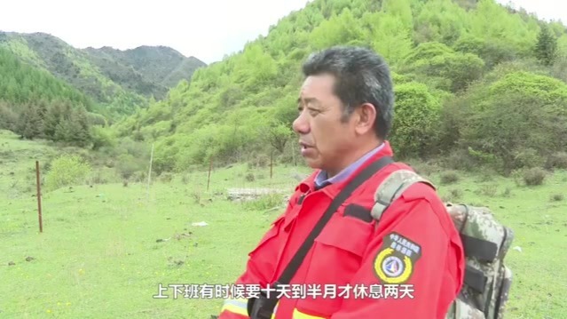 【最美护林员】冯录平：为林业草原事业奉献青春