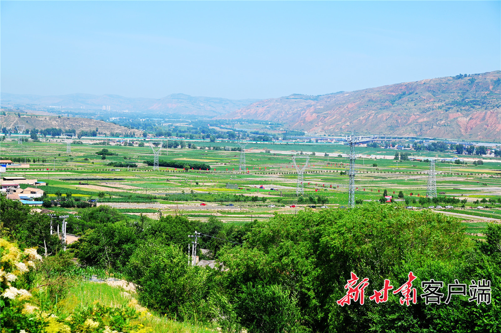 首阳镇万亩中药材标准化种植基地 (1).jpg