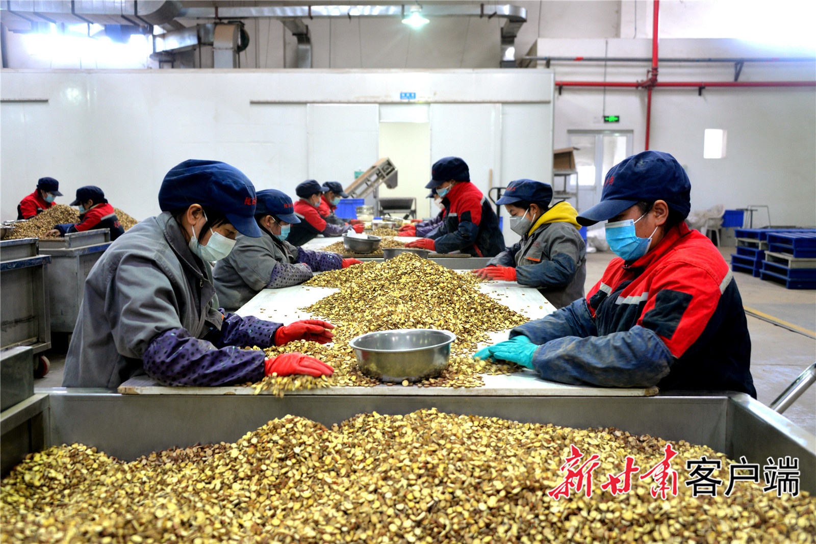 陇西县奇正药材有限责任公司生产车间 (3).jpg