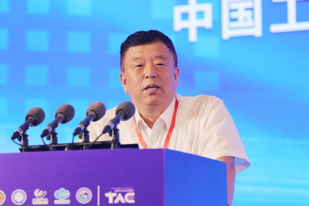 王国法院士作报告