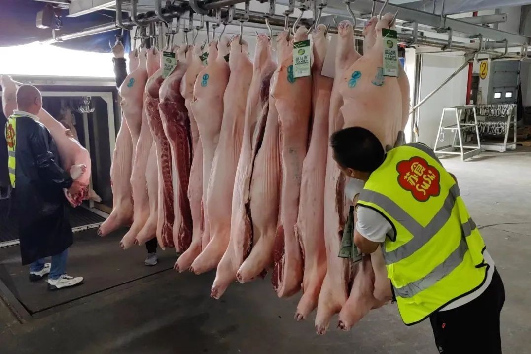 肉类罐头供应