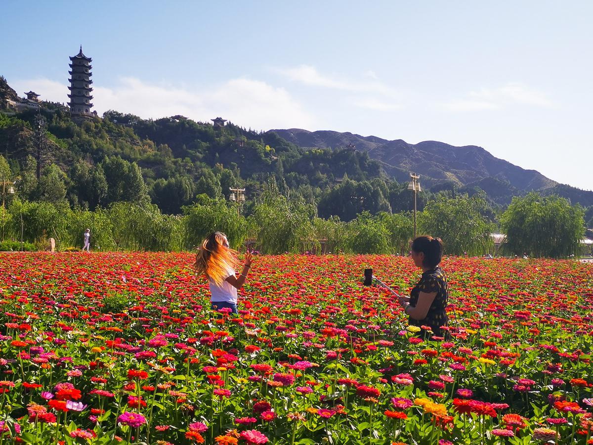 魅力永昌穿“花衣” 诗情画意这块儿拿捏了