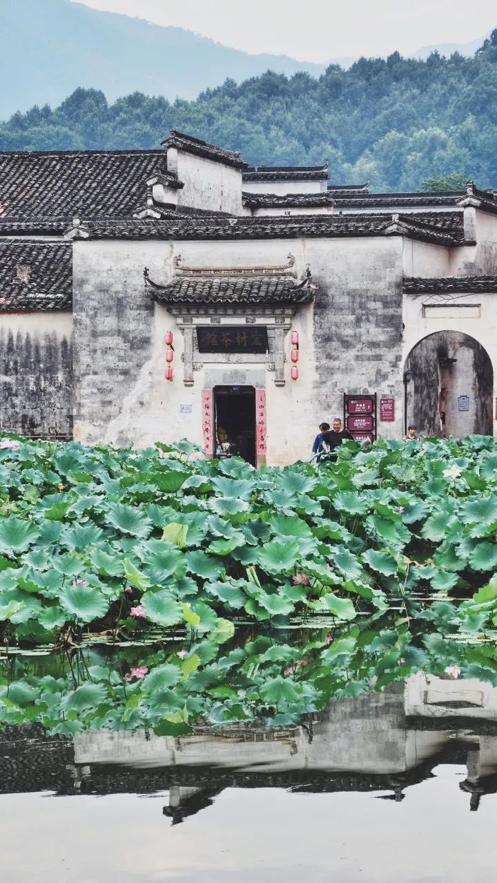 去了珠峰才知道，这里的路标是尸体；去了汤加才知道，无论男女都不穿裤子......,第42张