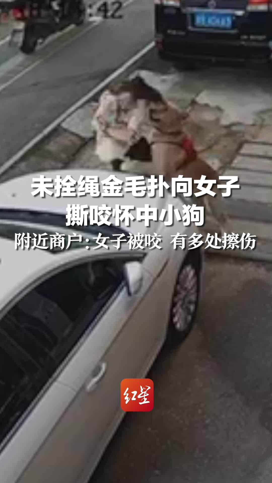 未拴绳金毛扑向女子撕咬怀中小狗，附近商户：女子被咬 有多处擦伤