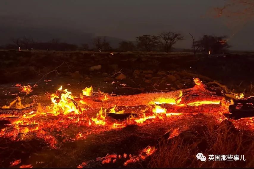 夏威夷&quot;天堂小岛&quot;毁为一旦！野火连烧两天，城镇被夷为平地......,第4张