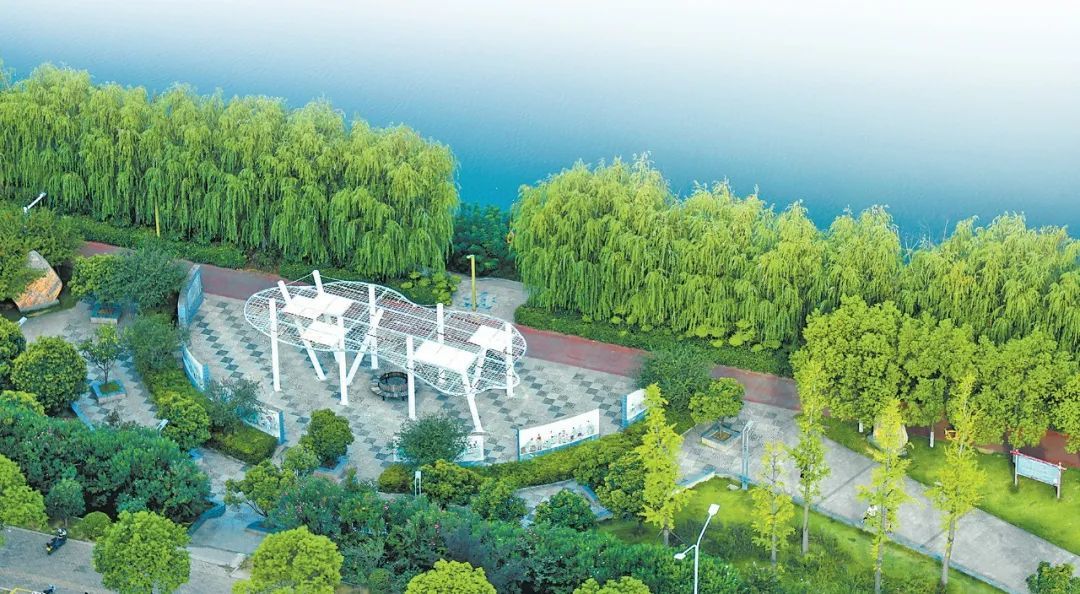 近年来，南阳市综合治理中心城区水系建设初见成效，穿城而过的白河“颜值”不断提升，呈现出一幅幅水清、岸绿、河美的生态画卷（8月15日摄）。