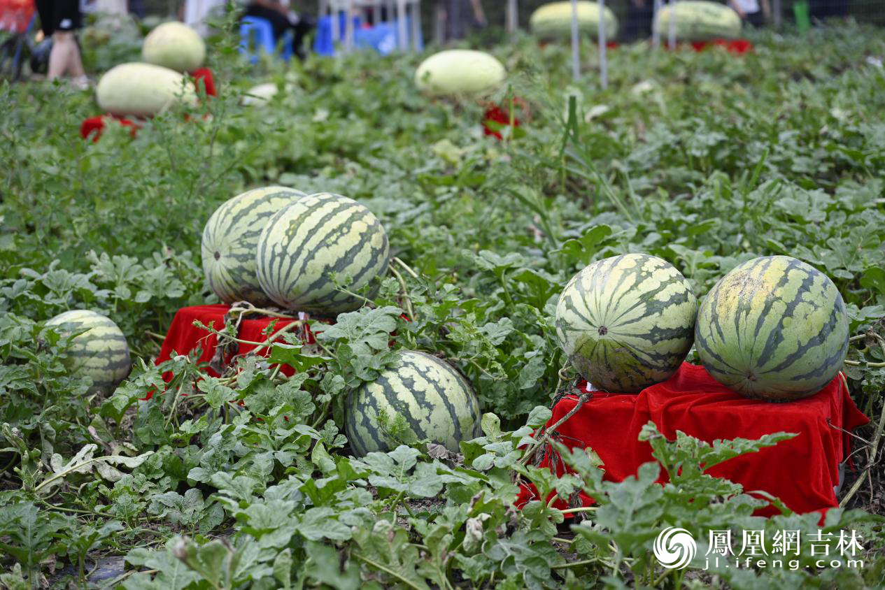 第二十二届中国长春国际农业&middot;食品博览（交易）会现场。