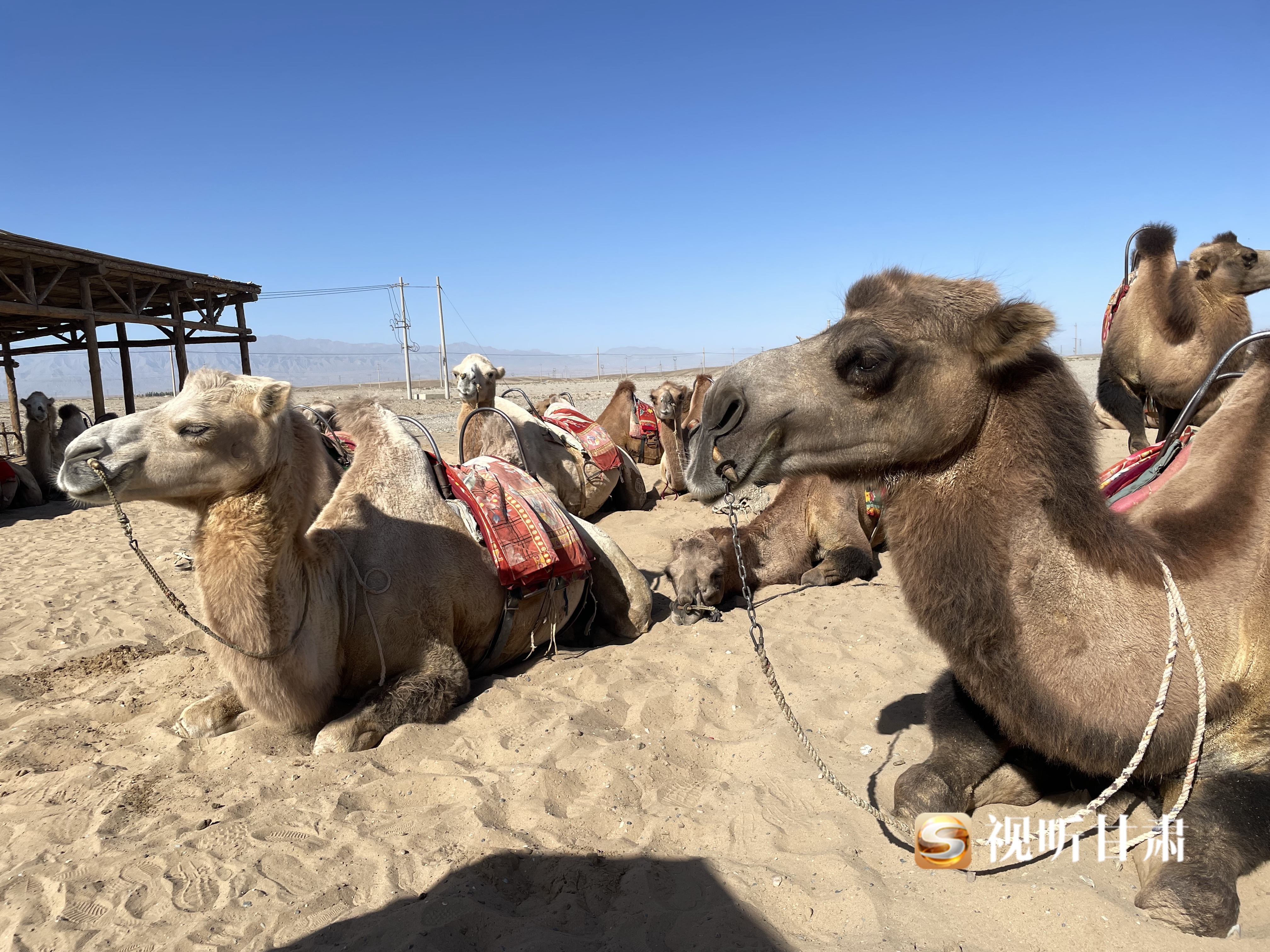 来"天下第一雄关"开启穿越之旅 沉浸式体验"将士西征"