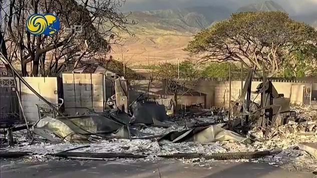 106人死亡！夏威夷毛伊岛山火遇难者遗骸鉴定困难