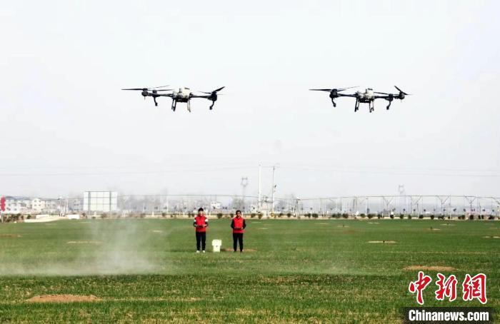 资料图为河南鹿邑县，农业植保工作人员利用无人机为麦子喷洒农药。厉佳 摄