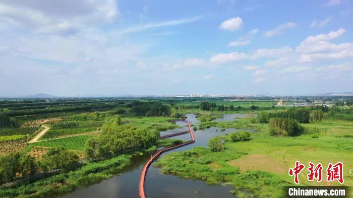 山东滕州级索镇塌陷区治理后建设的七星湖湿地公园。滕州市委宣传部 供图