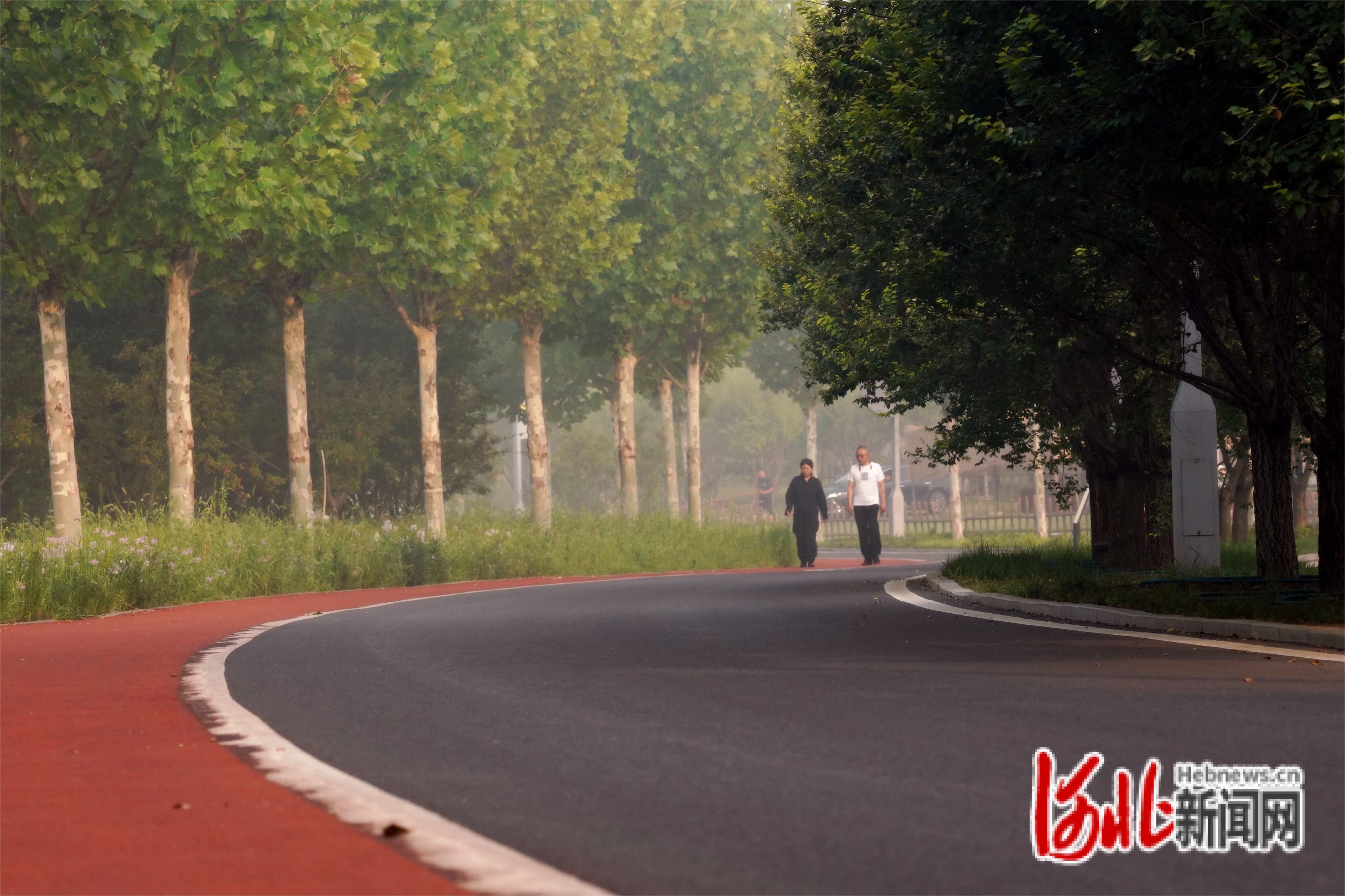 图为市民在唐山花海进行晨练。