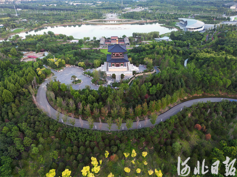 图为唐山花海北区一角。