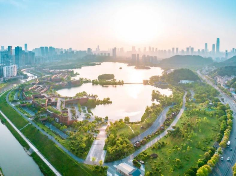 河清岸绿好风光！走，出门散步去