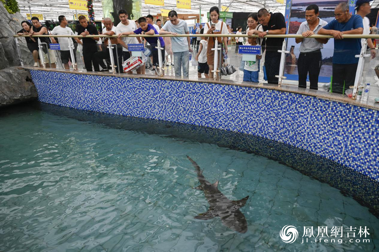 第二十二届中国长春国际农业&middot;食品博览（交易）会现场。