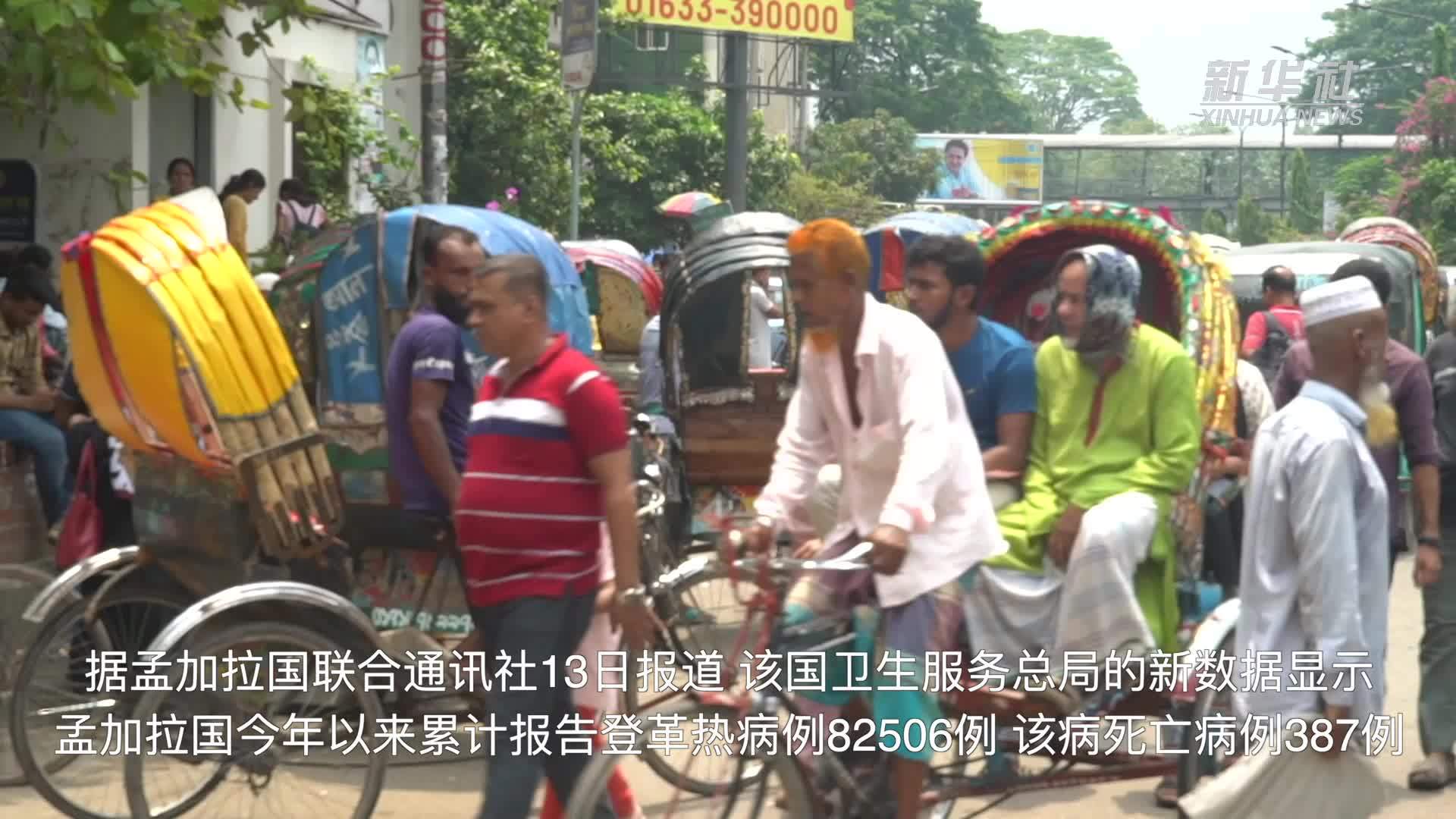 孟加拉国登革热病例数激增 世卫呼吁快速采取行动
