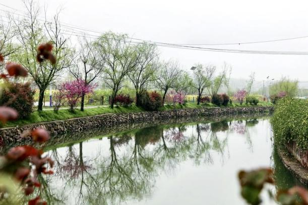 河清岸绿好风光！走，出门散步去