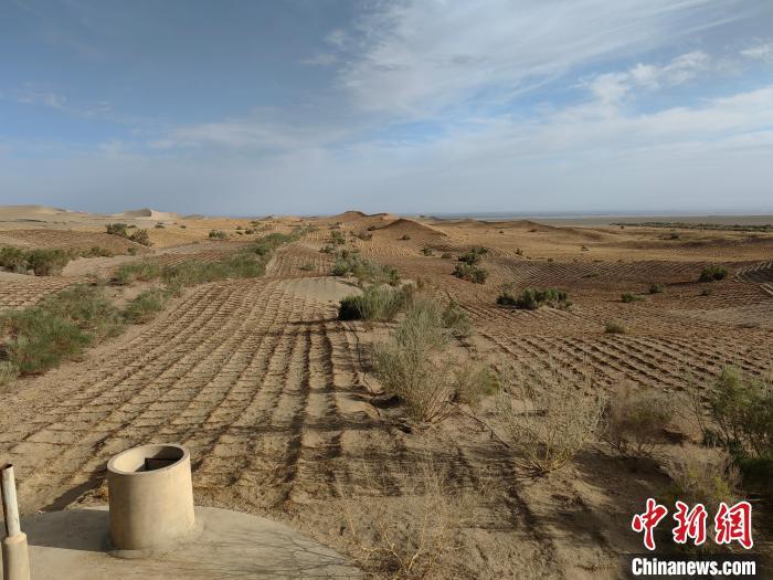 敦煌莫高窟风沙环境综合治理现场 应妮 摄