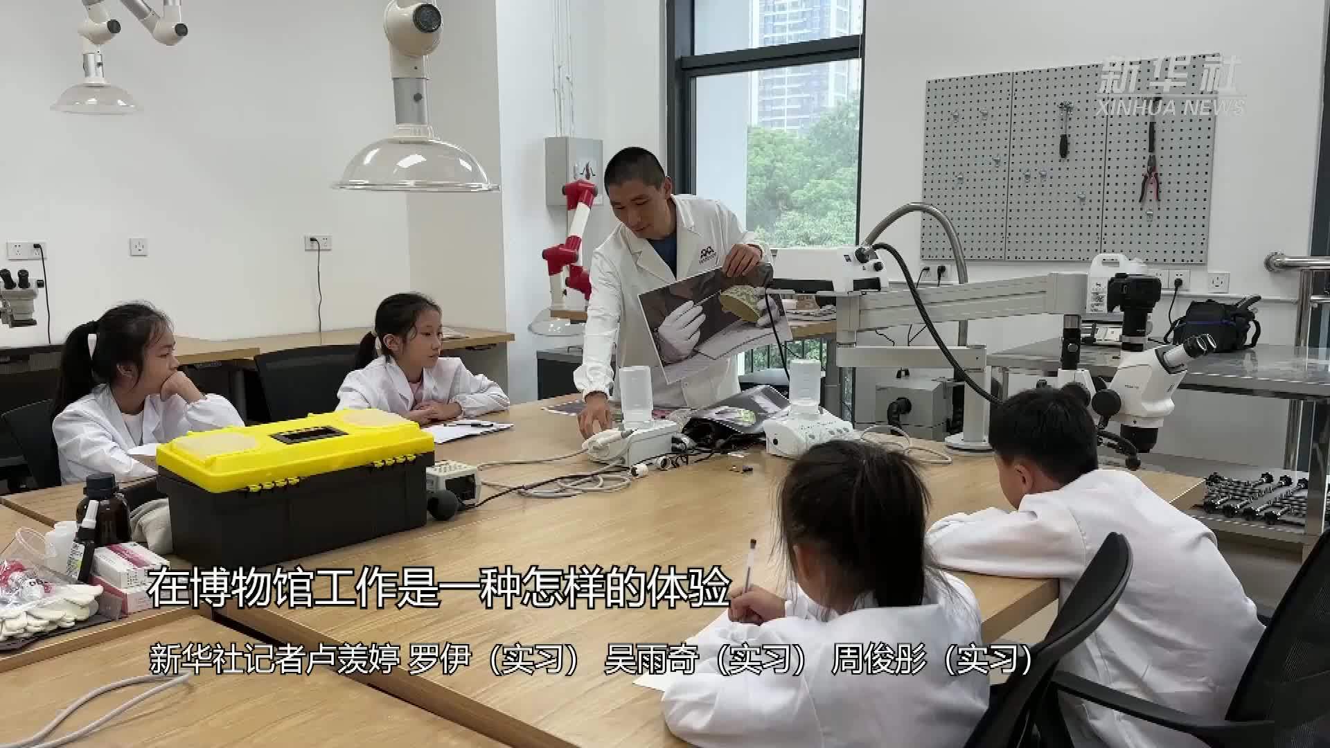 在博物馆工作是一种怎样的体验