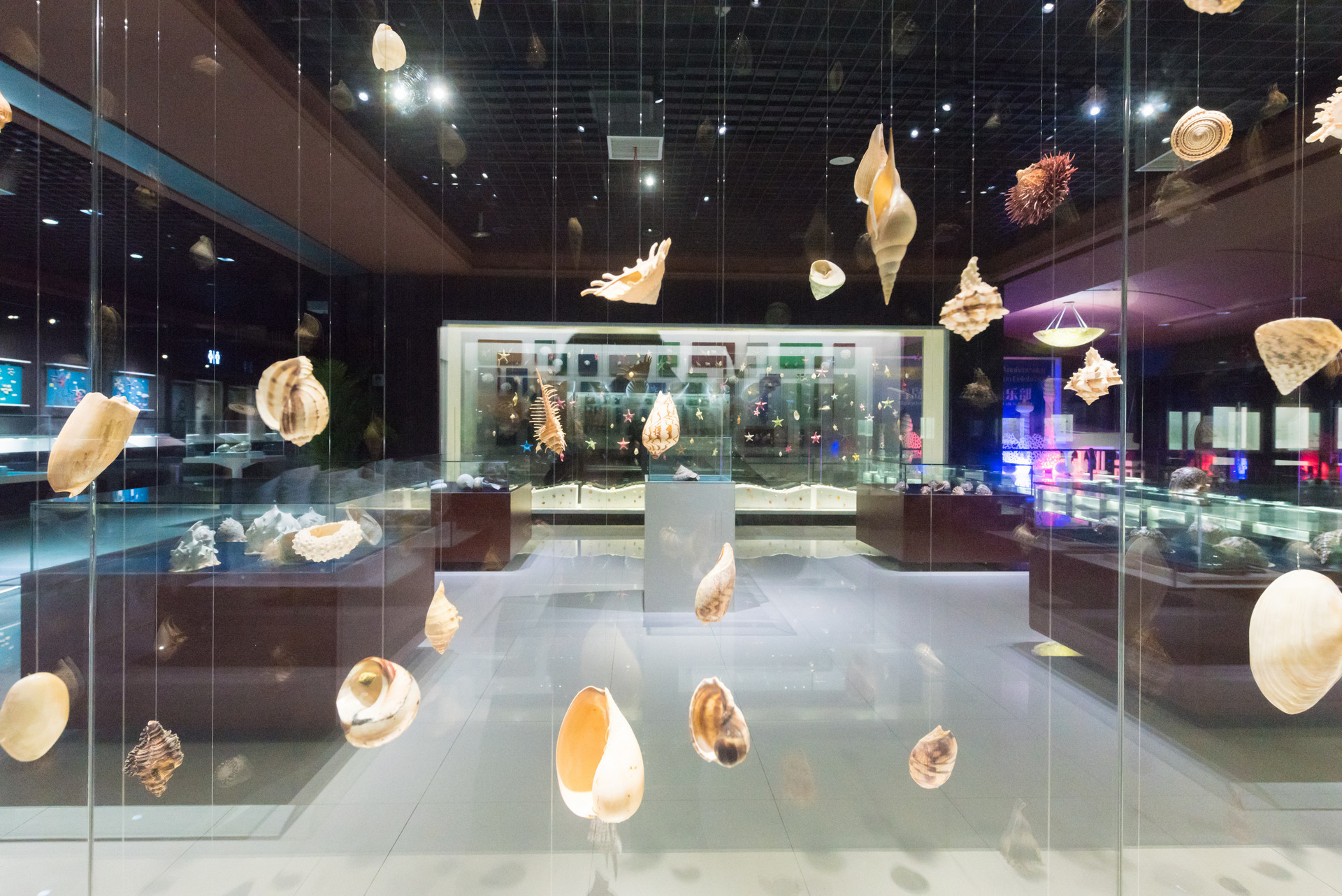 游青岛这些博物馆及景点景区,邂逅特色文创